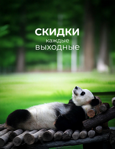 Скидка выходного дня до -10% Скидка выходного дня до -10%